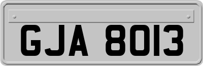 GJA8013