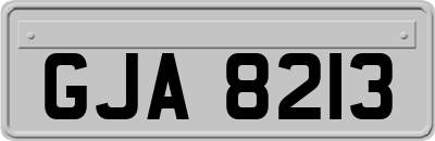 GJA8213