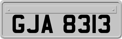 GJA8313