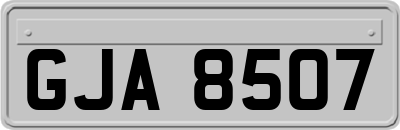 GJA8507