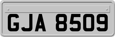 GJA8509