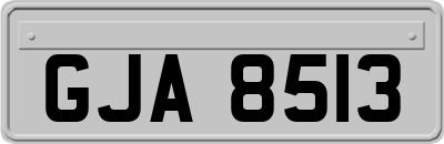 GJA8513