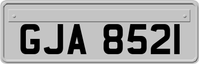 GJA8521
