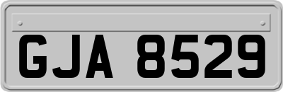 GJA8529