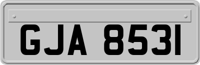 GJA8531