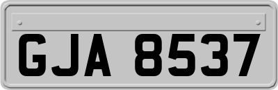 GJA8537