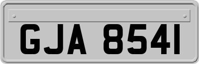 GJA8541