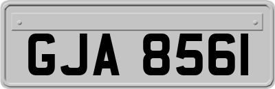 GJA8561