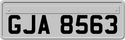 GJA8563