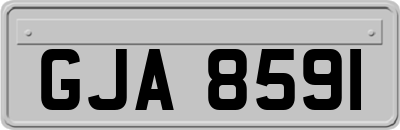 GJA8591