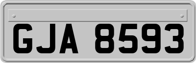 GJA8593