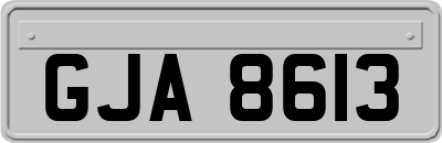 GJA8613