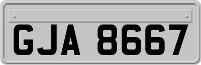 GJA8667