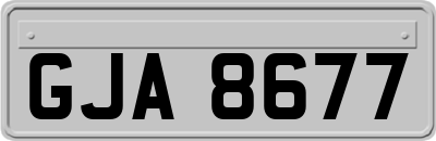 GJA8677