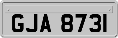 GJA8731