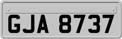 GJA8737
