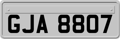 GJA8807