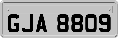 GJA8809