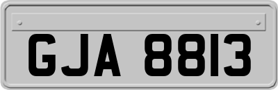GJA8813