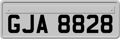 GJA8828