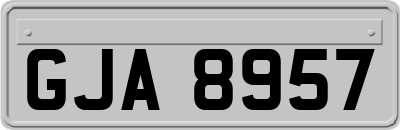 GJA8957