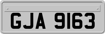 GJA9163