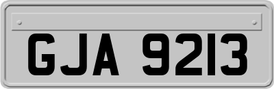 GJA9213