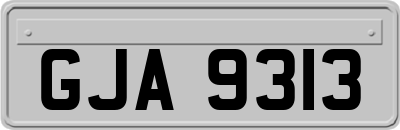 GJA9313