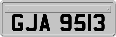 GJA9513