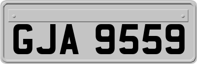 GJA9559