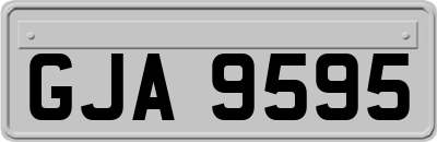 GJA9595