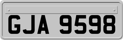 GJA9598
