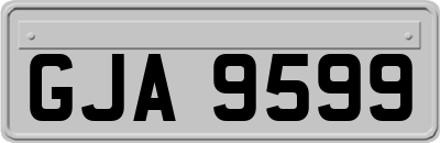 GJA9599