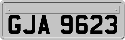 GJA9623