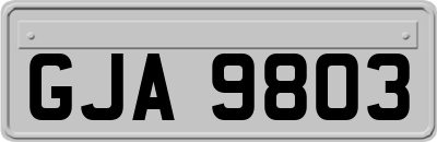 GJA9803