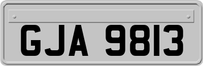 GJA9813