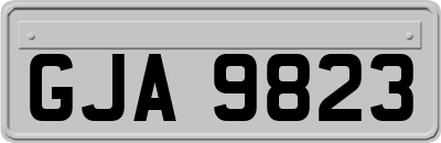 GJA9823