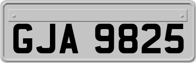 GJA9825