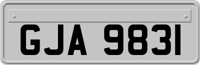 GJA9831