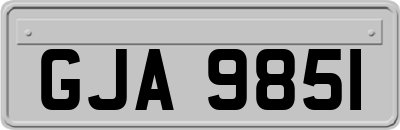 GJA9851