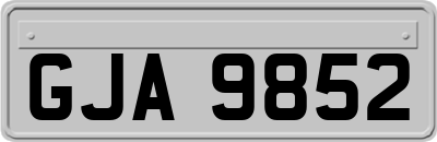 GJA9852