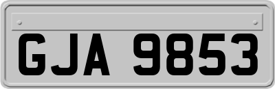 GJA9853