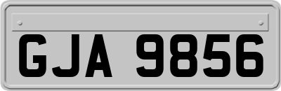 GJA9856