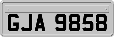 GJA9858