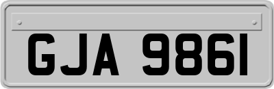 GJA9861