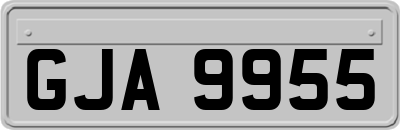 GJA9955