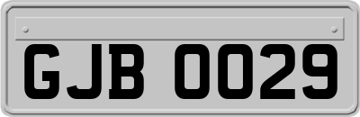 GJB0029