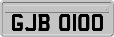 GJB0100