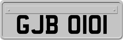 GJB0101