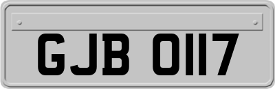 GJB0117
